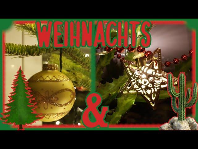 Weihnachtsbaum & Weihnachtskaktus 2024