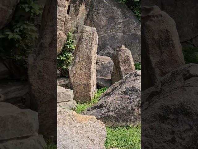 우리나라에 하나밖에 없다는 안양 석수동 마애종