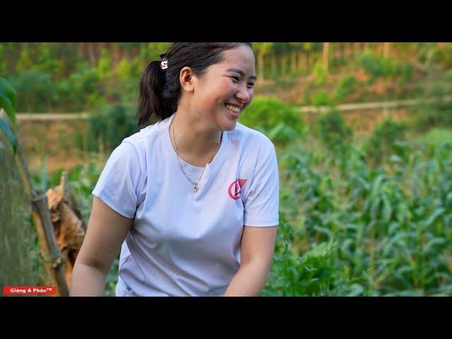 The single mom's field is overgrown with weeds, untended, and lacking water