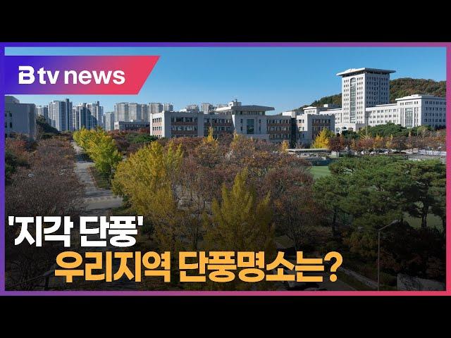 '지각 단풍'...우리지역 단풍명소는?(천안)