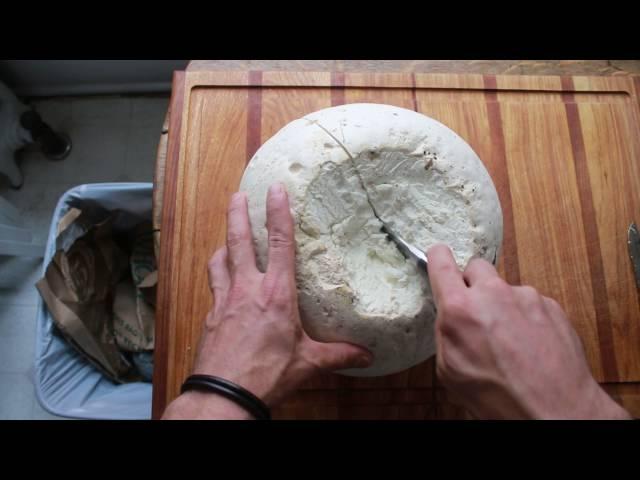 How I clean giant puffballs