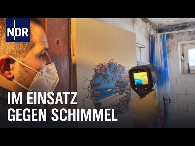 Schimmel im Haus: Gefahr in den eigenen vier Wänden | Die Nordreportage | NDR Doku