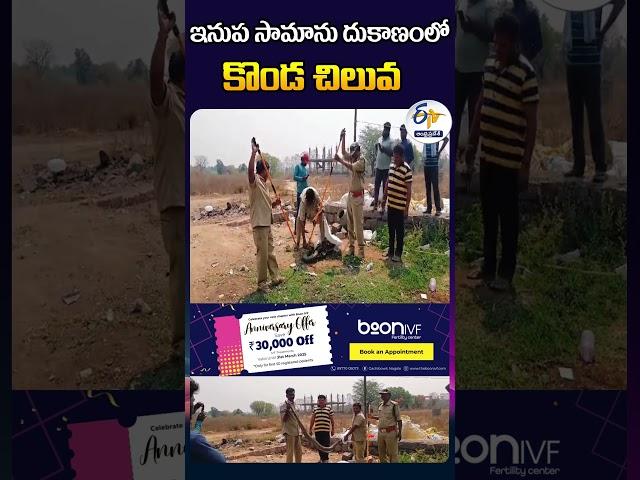 పాత ఇనుప సామాను దుకాణంలో కొండ చిలువ