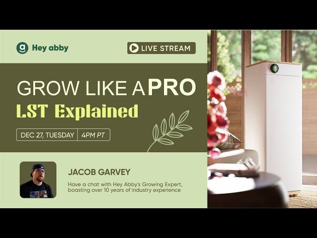 Grow Like a Pro: LST Explained