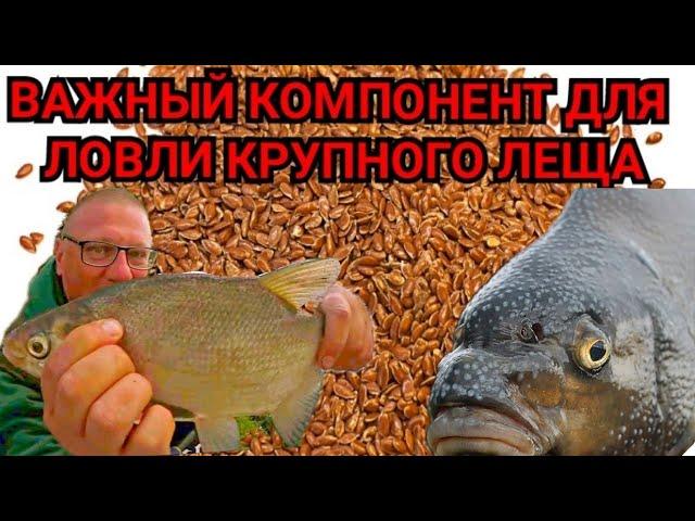 Важный КОМПОНЕНТ для ловли КРУПНОГО ЛЕЩА!