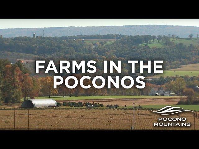 Farms in the Pocono Mountains