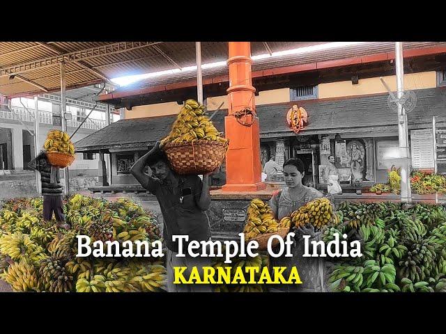 Udupi to Sringeri | Banana Temple Perdoor Karnataka | Sirimane Falls | Hebri | Ellu Juice |