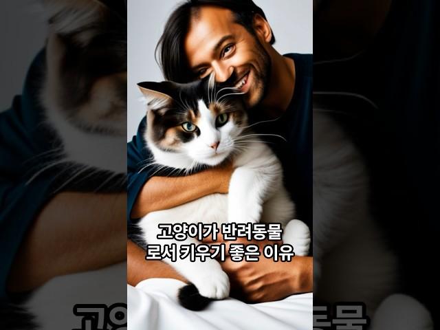 고양이가 반려동물로서 키우기 좋은 이유. 애완동물로 고양이가 최고인 이유. Shorts.
