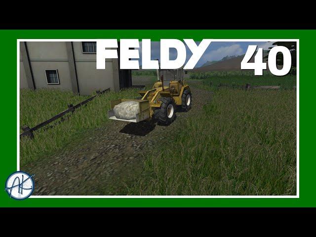 Let's Play | FS '11 | Feldy 40