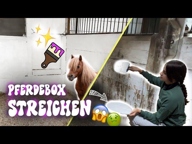 WIR STREICHEN DIE PFERDEBOX !