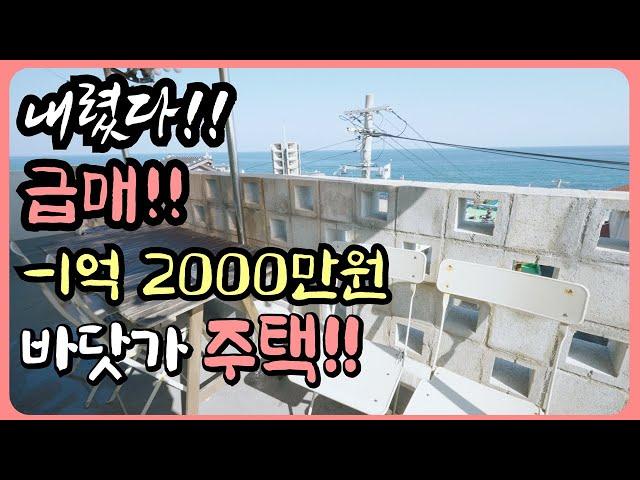 [완전 급매물] 사정상 1억 2000만원 내렸어요!! 바닷가 주택 매매 바닷가 집 매물 동해 바닷가 앞 집 바닷가 집 부동산