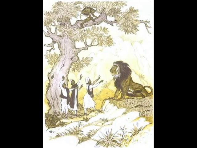Ученые глупцы (Индийская сказка) - аудио сказка