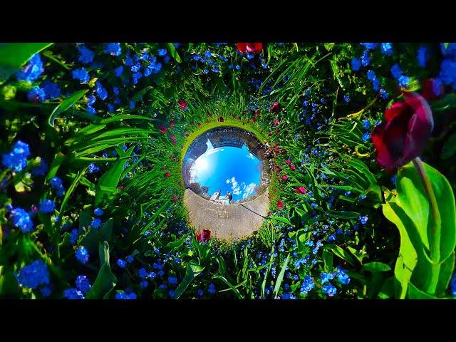 7 creative TINY PLANET videos | Insta360 X4