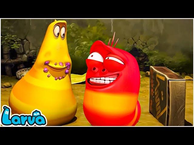 LARVA SEASON 2 EPISODE 98 | LARVA NEW MOVIES | CARTOON BOX | TRY NOT TO LAUGH - FUNNY COMEDY SERIES