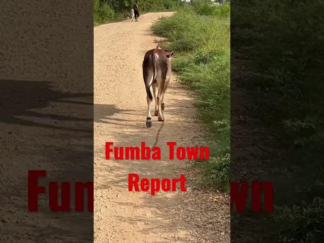 Could You Live in Fumba Town, #zanzibar ?