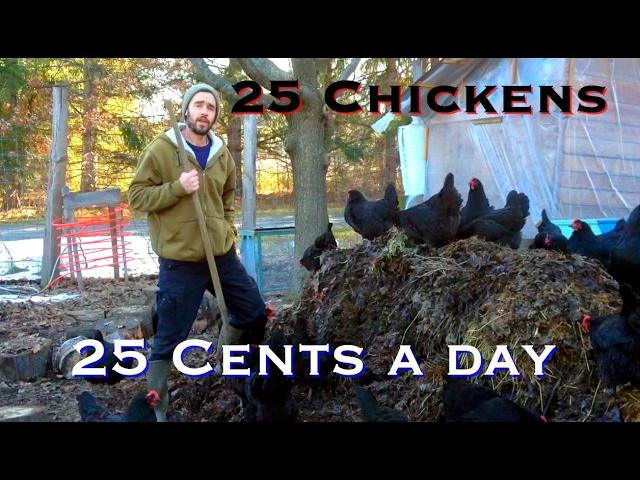 25 Chickens - 25 Cents a day (and they make TONS of compost!)