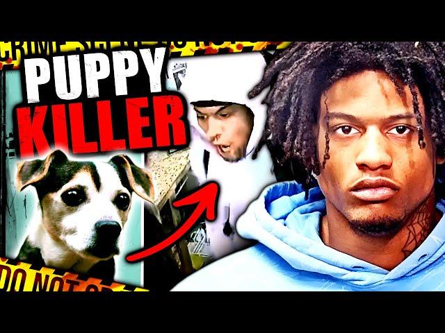 Puppy Killer Brought to Justice by the Internet