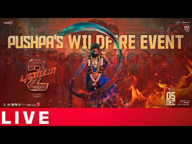 #Pushpa2  Pre Release Event LIVE | Chennai | Allu Arjun | Sukumar | Rashmika | WILDFIRE EVENT