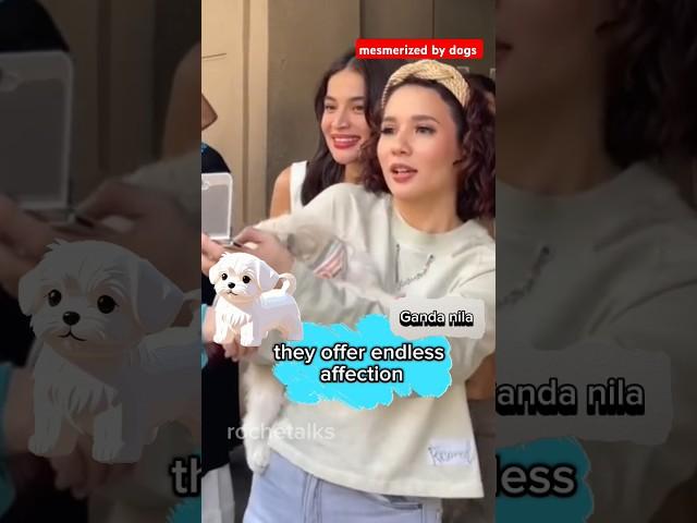 Karylle & Anne Curtis Dogs #shorts #karylle #annecurtis #viralvideo