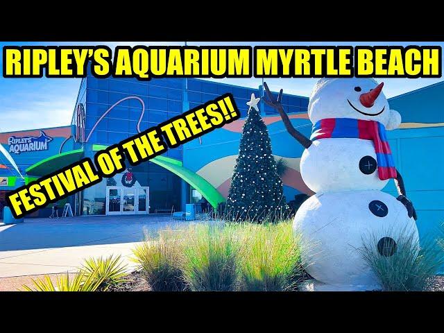 Ripleys Aquarium Festival of the Trees Broadway at the Beach! Christmas Things to do in Myrtle Beach