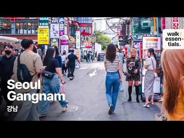 Gangnam Lunch and After Work Walk ‍ ( Seoul,Korea ) 4K 강남의 점심&퇴근