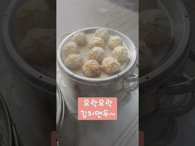 맨두맨두 김치맨두~