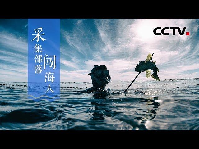 《采集部落闯海人》深海游猎故事 | CCTV纪录