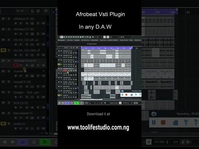 Afrobeat plugins in any D.A.W