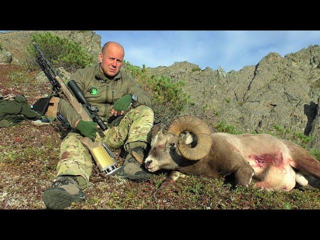 Снежный баран в Магаданской области. Горная охота Эдуарда Бендерского