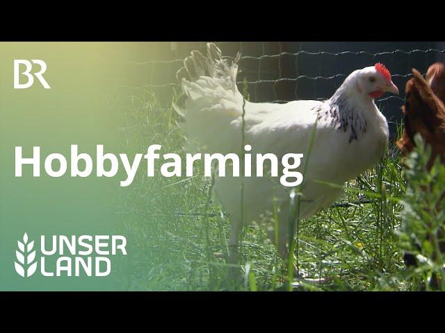 Hobbyfarming - Hühner im Hausgarten | Unser Land | BR Fernsehen