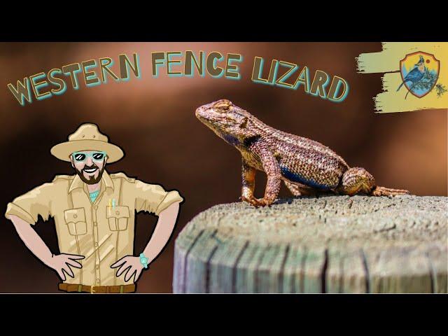 Learning About Lizards | Educational Videos for Kids