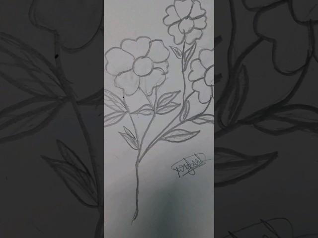 #_shorts Yuvraj Art  How to Drawing a flower easy way #viral #trending #art 