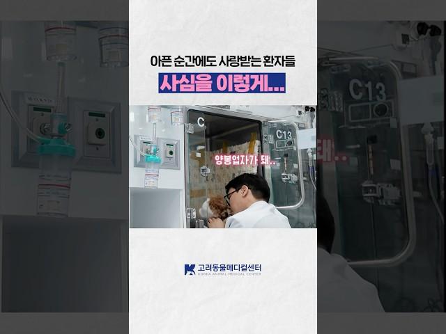사심을 이렇게..? 오히려 좋아 #동물병원 #고려동물메디컬센터