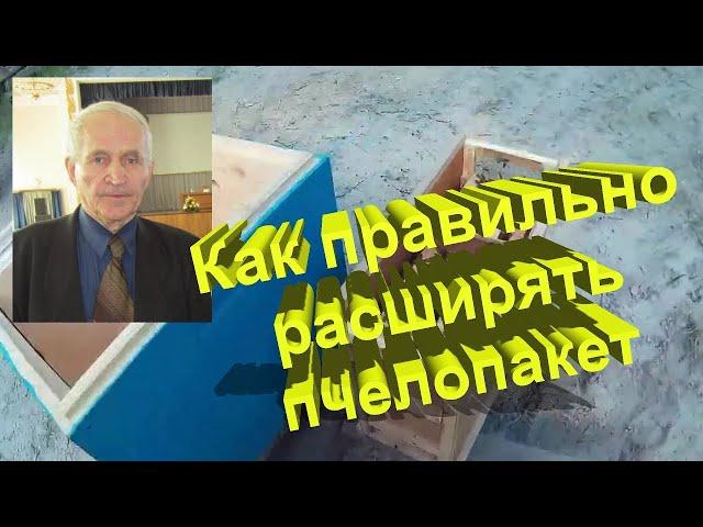 Профессор Кашковский: как правильно расширять пчелопакет?