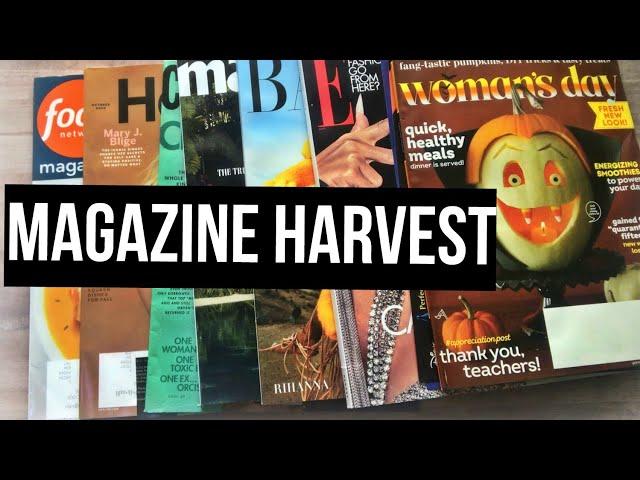 Magazine Harvest #gluebook #magazineharvest #magazinecollage #gluebooks #journal #collageart #crafts