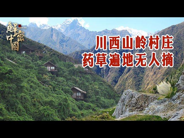 There are 97 poor villages in the beautiful mountains and forests on the Western Sichuan Plateau