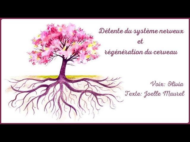 (Version longue) Méditation guidée - Détente du système nerveux et régénération du cerveau