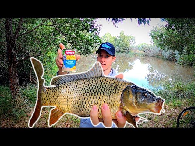 FISHING with CORN for BAIT!