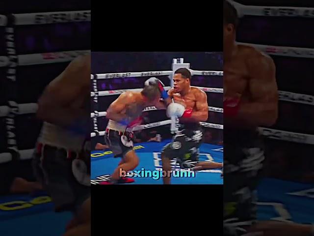 The New  #devinhaney #boxing #shorts
