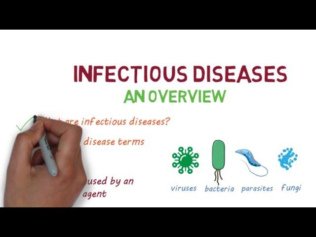 Infectious Diseases: A Beginner's Guide to the Basics