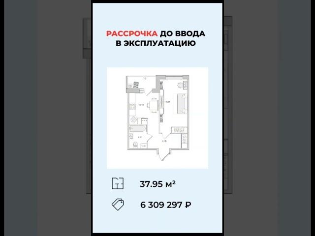 Квартиру лучше покупать в спб #недвижимость #бизнес #юмор