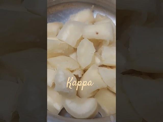 Topioca(kappa) #music #song #sinicooking passion