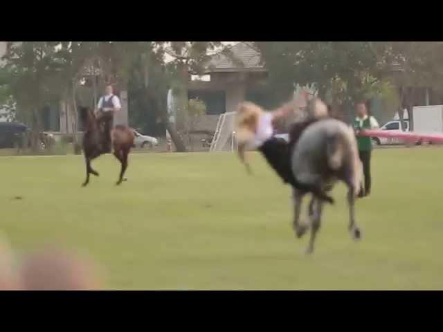 Trick Riding Show on the Final Day of King's Cup 2015(Part1)