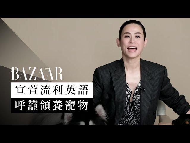 宣萱以流利英語建議領養代替購買寵物 Jessica Hsuan supports the pet adoption | speaking english | Harper's BAZAAR HK