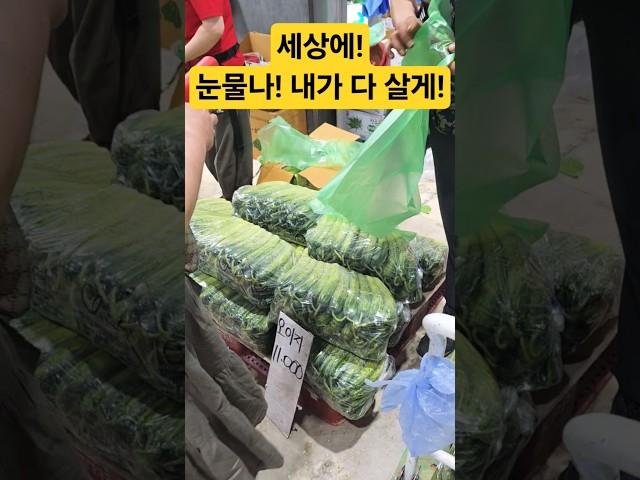 눈물나! 내가 다 살게요! #시장 #맛집 #먹방 #먹거리 #폭락 #세일