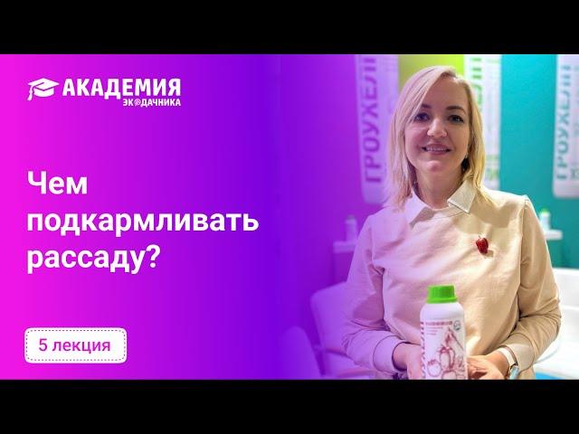 Чем подкармливать рассаду?