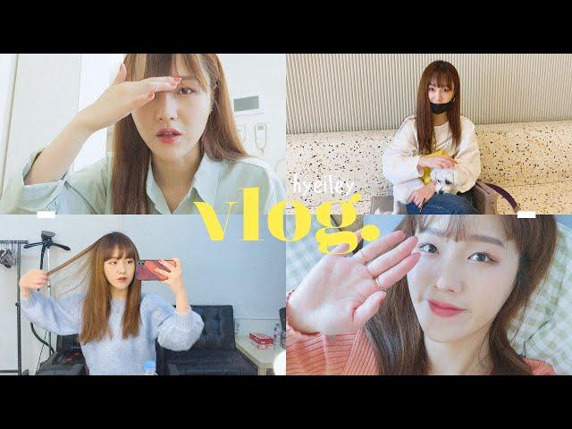 야금야금 모아 본 5월 첫째 주 VLOGl 스피또 플렉스, 앞머리 자르기, 강아지 카페 안녕아가, 대탈출 중독자, 해방촌, 피클피클, 글래드 호캉스