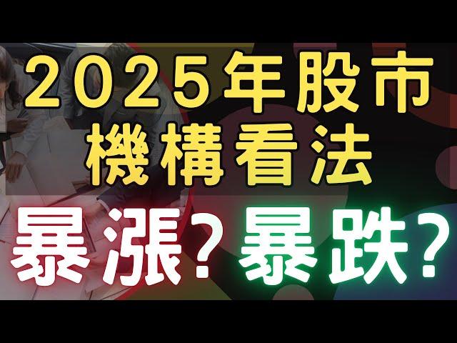 2025年股市機構看法，暴漲? 暴跌? 00878|0056|美債|佳能|興能高|偉訓|台積電|金融股|三大法人|投資理財|台幣|美元|存股|股票| 12/27/24【宏爺講股】