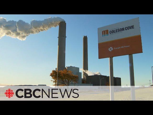 Millions of dollars in oil go up in smoke as N.B.'s nuclear plant remains offline