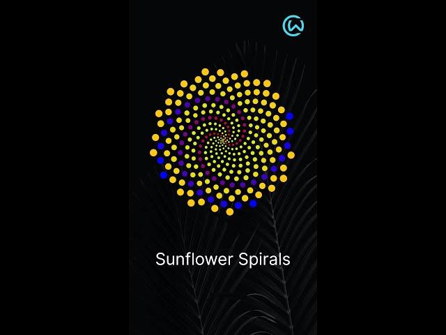 Fibonacci Numbers in Sunflowers